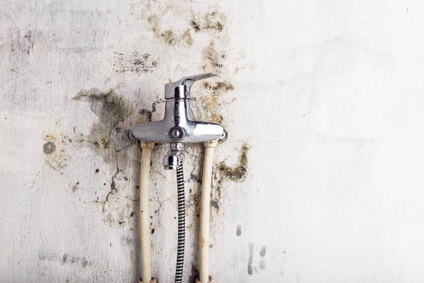 Water Damage Restoration in Stansberry Lake, WA